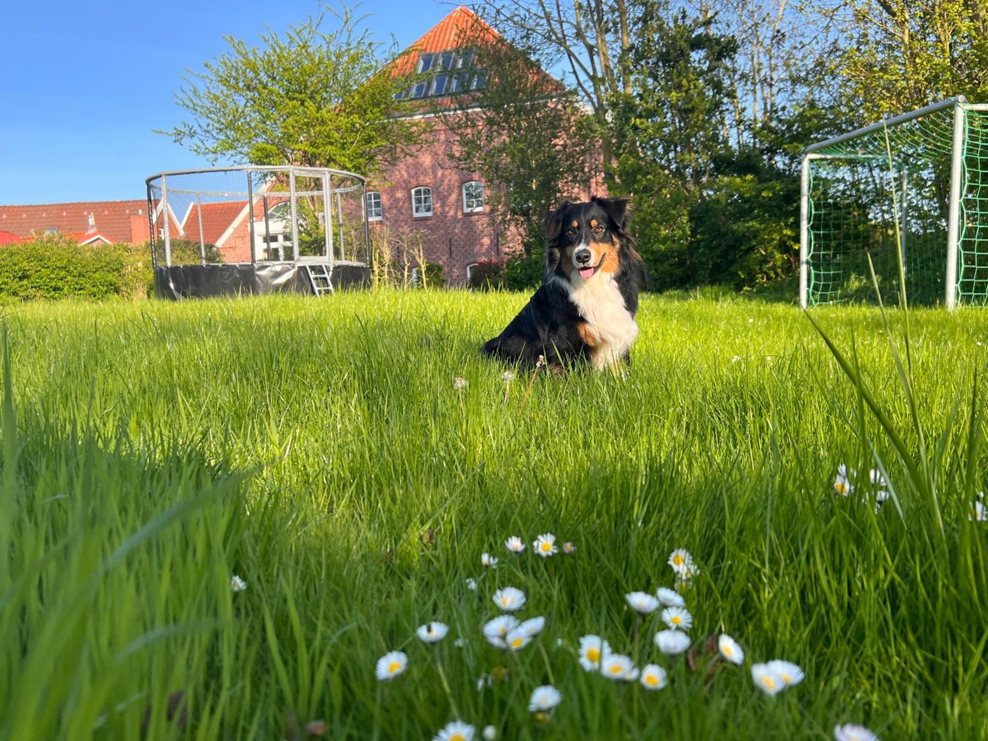 Milchkammer Krummhörn Exterior foto